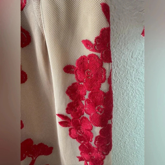 For Love & Lemons Temecula Embroidered Mesh V Neck Mini Dress $248 XS - Picture 11 of 12